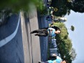 Tn dsc 6218
